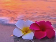 摄影技巧：朝霞怎样拍色彩更红？资深摄影师干货分享太原宣传片制作拍摄